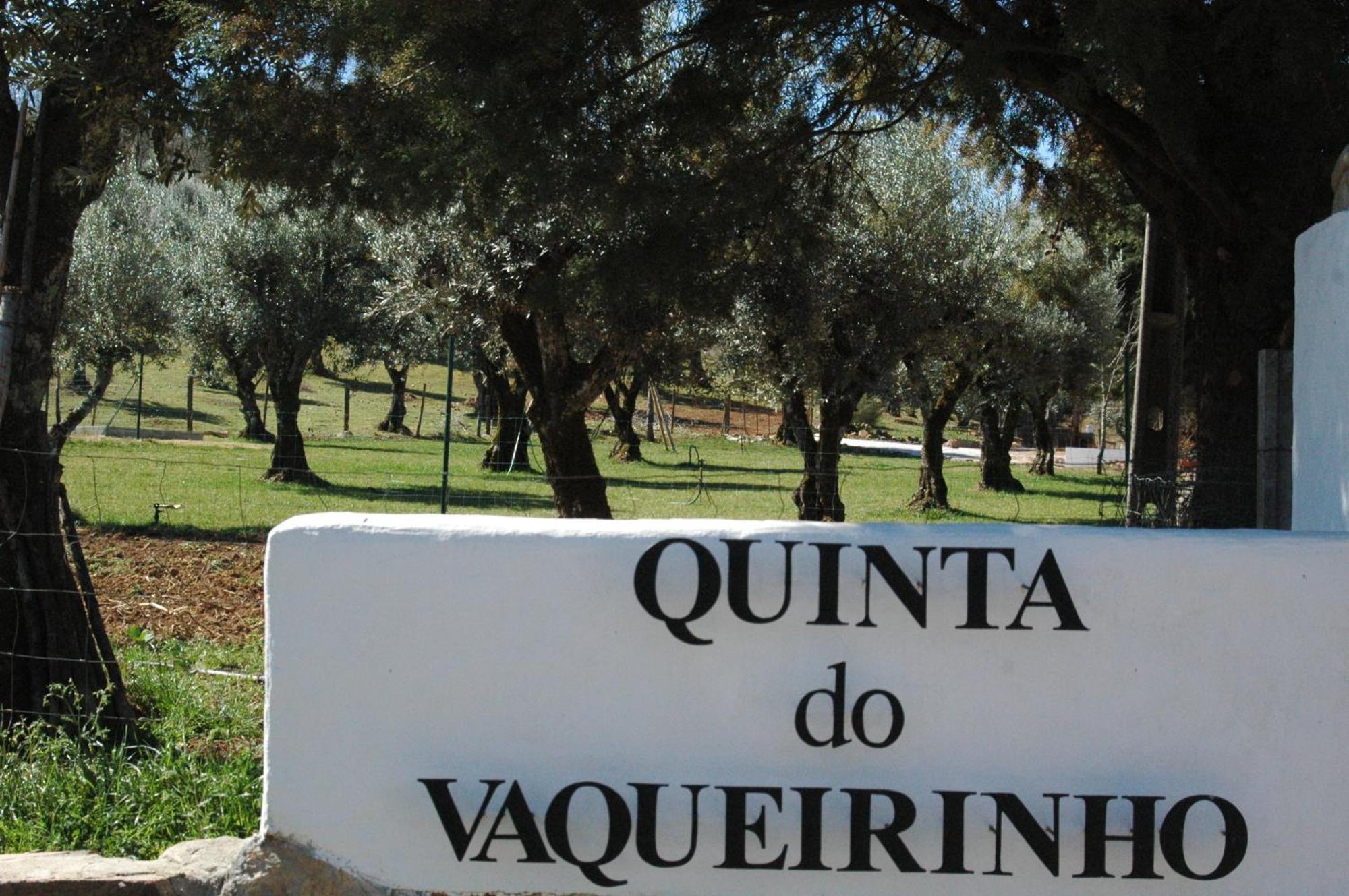 Vila Quinta Do Vaqueirinho - Agro-Turismo Marvão Exteriér fotografie