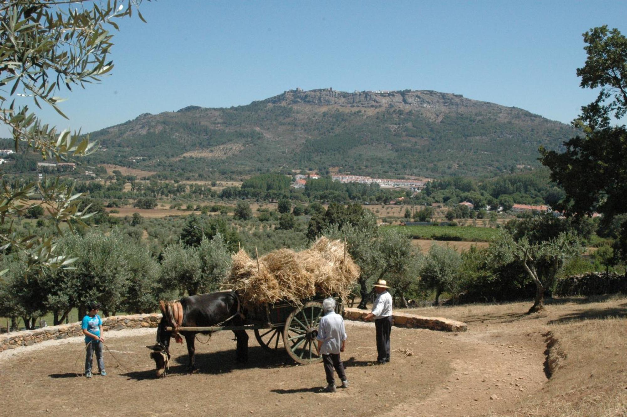 Vila Quinta Do Vaqueirinho - Agro-Turismo Marvão Exteriér fotografie
