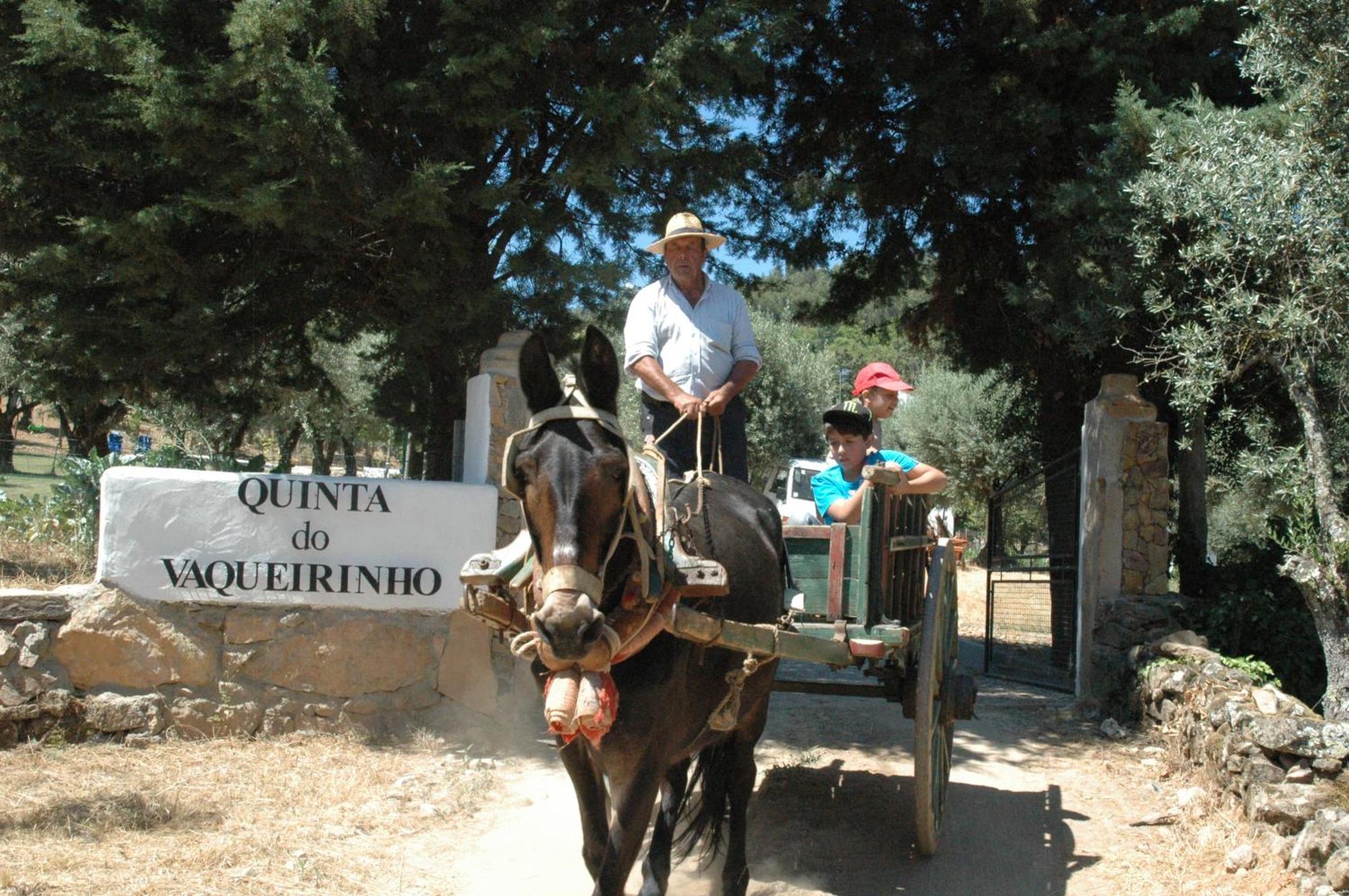 Vila Quinta Do Vaqueirinho - Agro-Turismo Marvão Exteriér fotografie