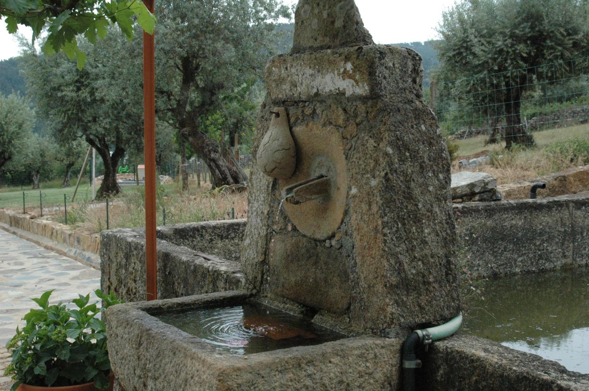 Vila Quinta Do Vaqueirinho - Agro-Turismo Marvão Exteriér fotografie