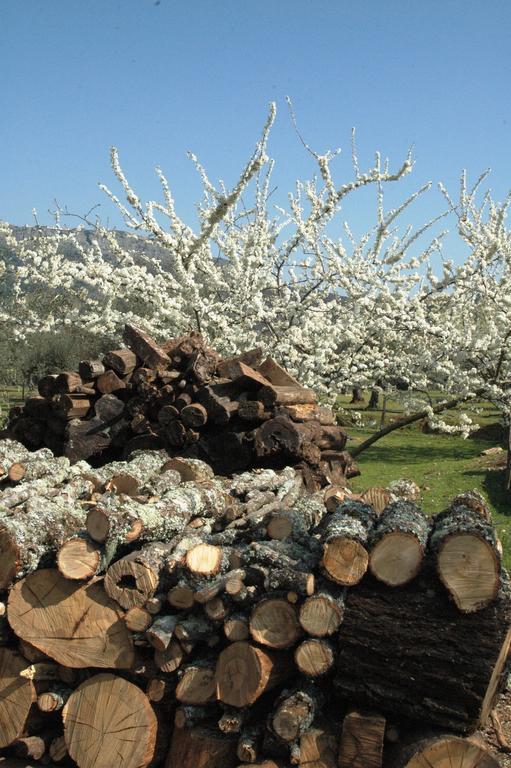 Vila Quinta Do Vaqueirinho - Agro-Turismo Marvão Exteriér fotografie